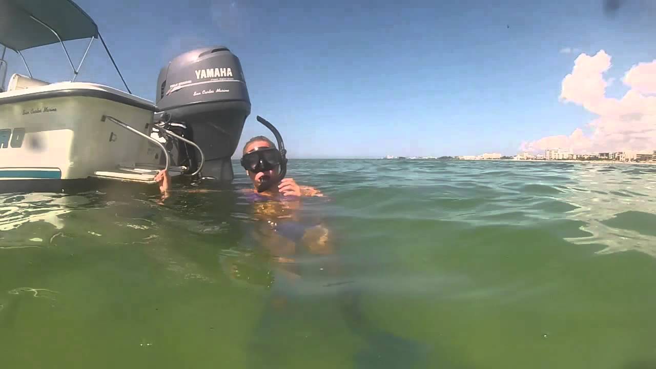 Siesta Key Snorkeling with GoPro (Point of Rocks) YouTube