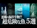 悪魔の海洋生物!?超危険な魚5選!