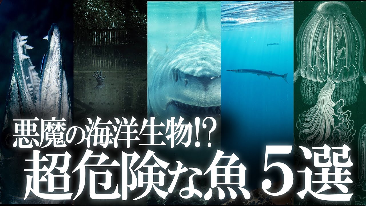 悪魔の海洋生物!?超危険な魚5選!
