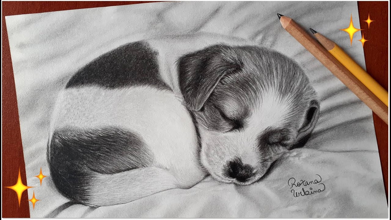 Dibujando un cachorro con lápices de grafito ♥ - Dibujos de perros / How to  draw puppies ♥ - thptnganamst.edu.vn