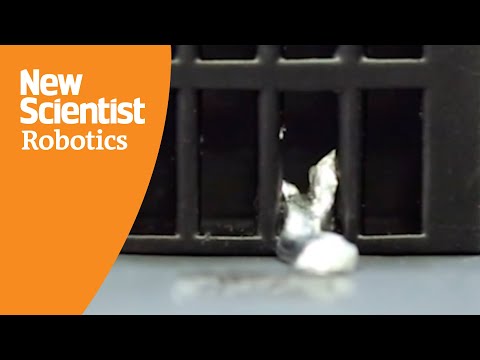 Watch magnetic robot melt from solid to liquid to navigate confined spaces