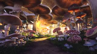 Mushroom Forest