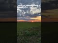 Хороший день, но находки не порадовали #коп2023 #копвбеларуси #империя #коп #монеты #пошук #серебро