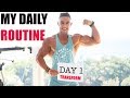 Daily Routine | Zac Perna