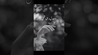 #pakistaninovel #urdunovels #Minhaastoryofloveandrevenge#dramaticnovel #poetry