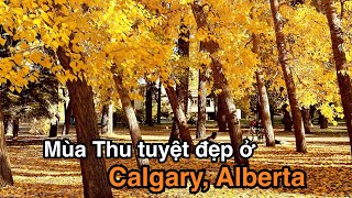 Mùa Thu tuyệt đẹp ở Calgary, Alberta | Vlog 271 | Cuộc sống Canada