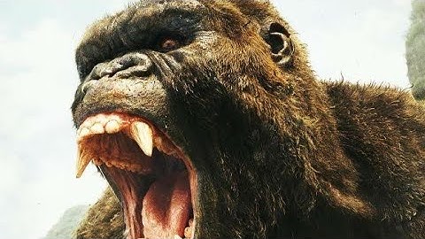 Godzilla vs. Kong (2023) Movie Explained in Hindi / Urdu | Godzilla vs. Kong Full Summarized Hindi