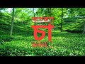 চা বাগানের অপরূপ সৌন্দর্য , Magnificent tea garden at Sylhet