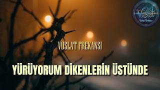 Yürüyorum Dikenlerin Üstünde - Vuslat Frekansı - Cover
