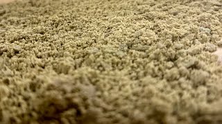 Bubble Hash Time