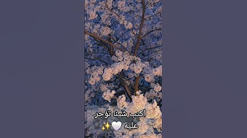 راحة البال 😌🤍 #العيد #اكسبلور #تلاوة_خاشعة #تيك_توك #قران_كريم #لايك #قران #ترند #دويتو #شيوخ