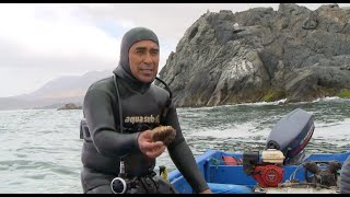 Pescador de Caleta Chungungo by Al Sur del Mundo 47,804 views 2 years ago 12 minutes, 17 seconds