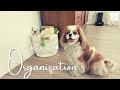 My BEST Dog Organizing Tips (Clover Fan Service Show)