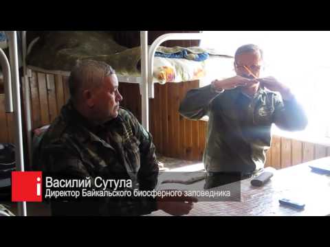 Орлан в Байкальском биосферном заповеднике