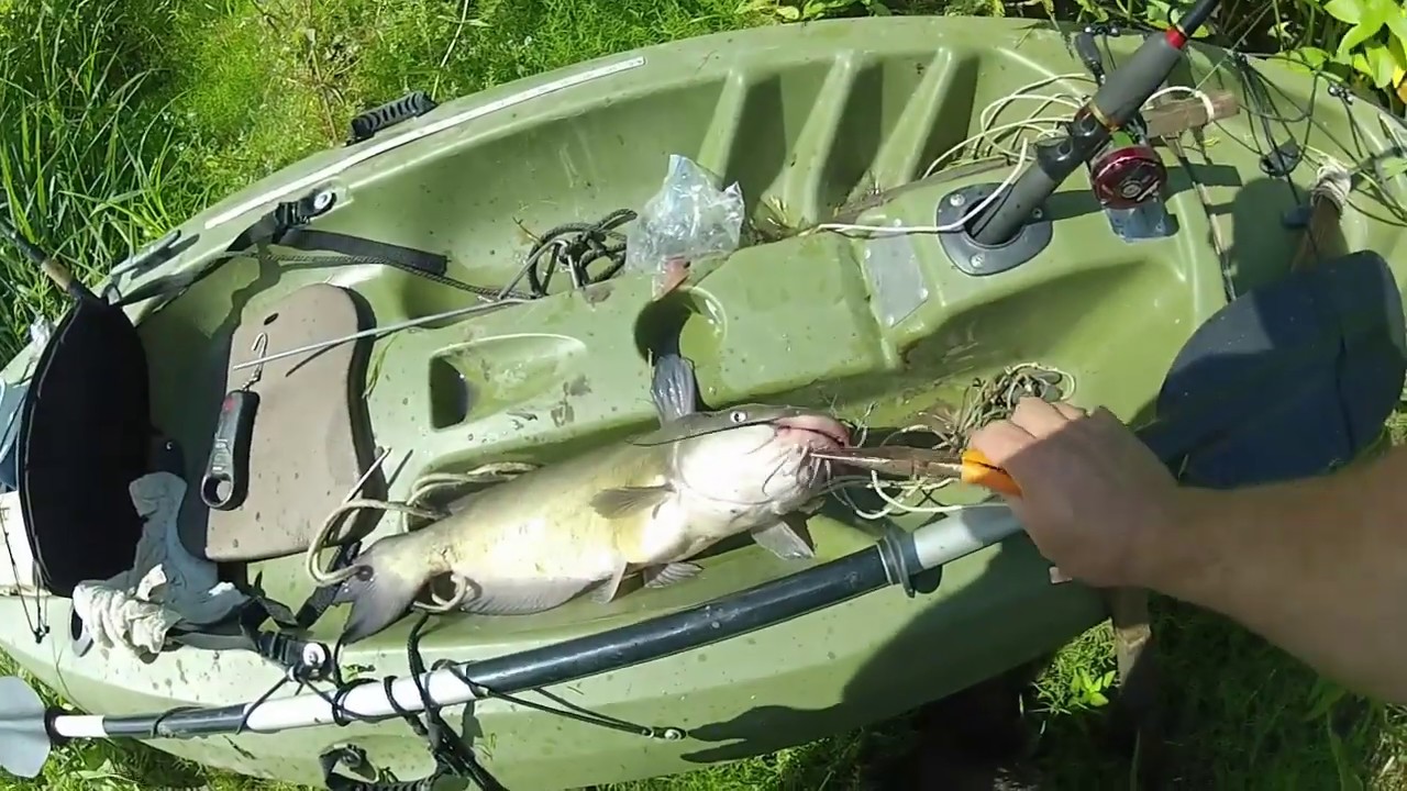 Pautzke Catfish Nectar on trotlines 