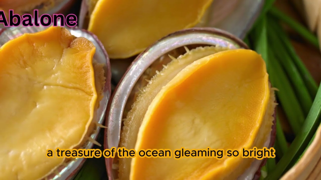 Song For Kids: Mollusk Marvels🐚🦑 Under the Sea 🌊