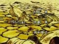 影栬  SHADOW SKILL Opening