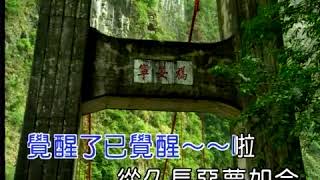楊三哥˙親戀道中˙20170213 1618