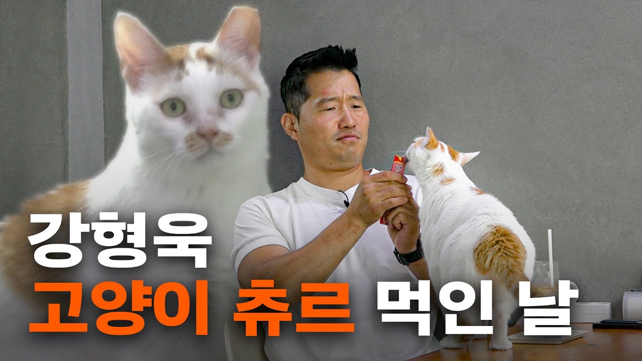 미팅 전에 들른 카페에 고양이가 있었다. 처음이었다. [펫밀크 최저가 입점기 : 강형욱대표 일하는 날]