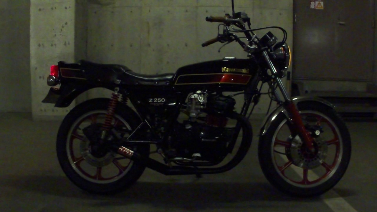 z250ft z250ltd 【公式通販】