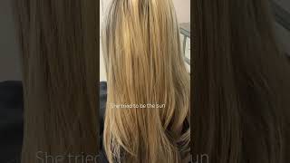 Blonde To Darkest Brown