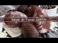 Tutorial completo para hacer Huevos de Pascua caseros, fáciles, económicos y con mucha onda