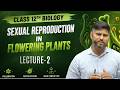 Sexual Reproduction in Flowering Plants 🌸 | Lecture -2 | Class 12 Biology | NEET 2026