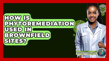How Is Phytoremediation Used In Brownfield Sites? - Earth Science Answers