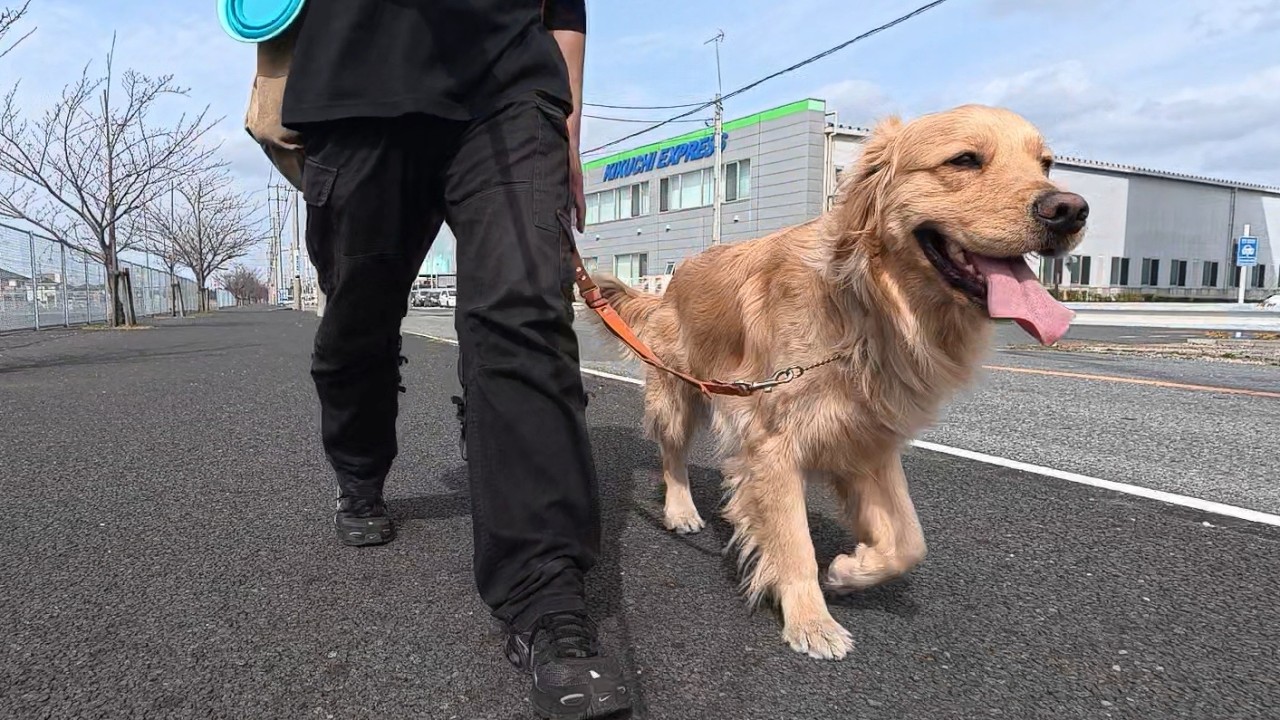 Nostalgic feelings and memories. Have you had any? [Golden