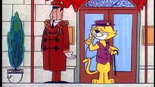 top cat with cat