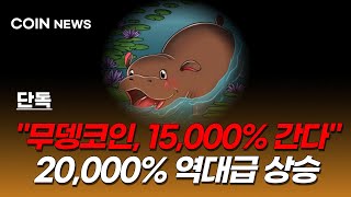 [무뎅코인 전망] 밈코인 폭등 1등 당첨! 아직도 15,000% 랠리 남았습니다! 홀더분들 축하드려요!