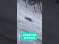 Ski montagne les alpes moto neige accident #funny #automobile