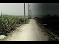 SOPHIA / 未だ見ぬ景色(Official Music Video)