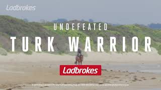 Turk Warrior Will Defend His Unbeaten Record During The Tasmanian Summer Racing Carnival