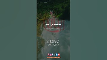 إنك لأ تهدي من احببت ولكن الله يهدي من يشاء.. #ياسر_الدوسري #ريحانة_قرآن #سورة_القصص #قرآن #quran