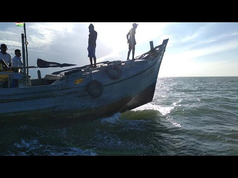 غويانا الفرنسية الصيادون ينددون بتعر ض الثروة السمكية إلى النهب