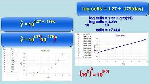 Exponential Transformations to Achieve Linearity