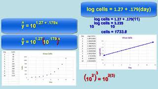 Exponential Transformations to Achieve Linearity