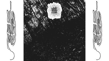 izprijenostь - untitled