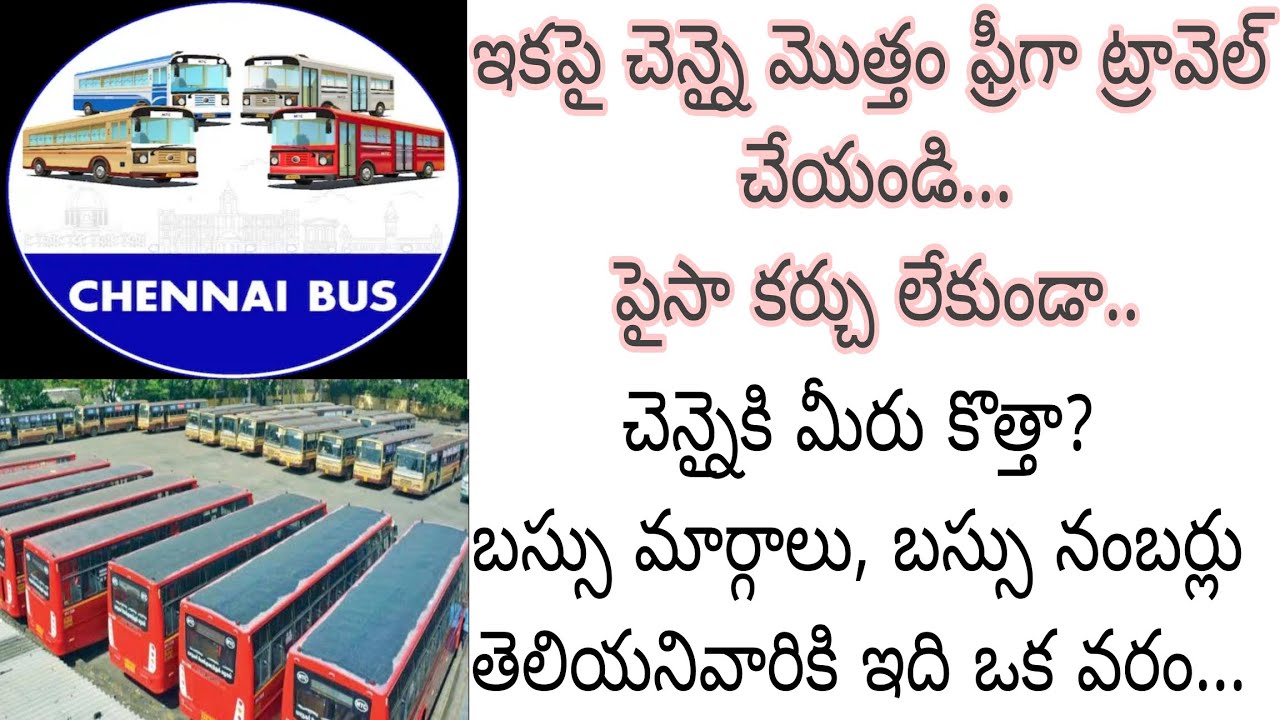 Chennai BUS App For MTC Pink Bus Free Travel Bus Route Timings chennai-bus-app-for-mtc-pink-bus-free-travel-bus-route-timings