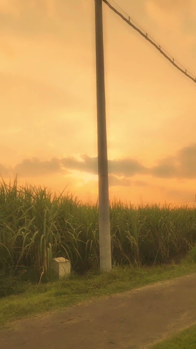 Twilight sky in the gallery #sunset #dreamyeffect #nature #aesthetic #aesthetic #sky #afternoon