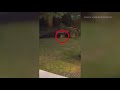 Summerfield man relives scary experience with rabid fox