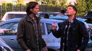 Supernatural Season 09 x 05 Dean vs the Pigeon