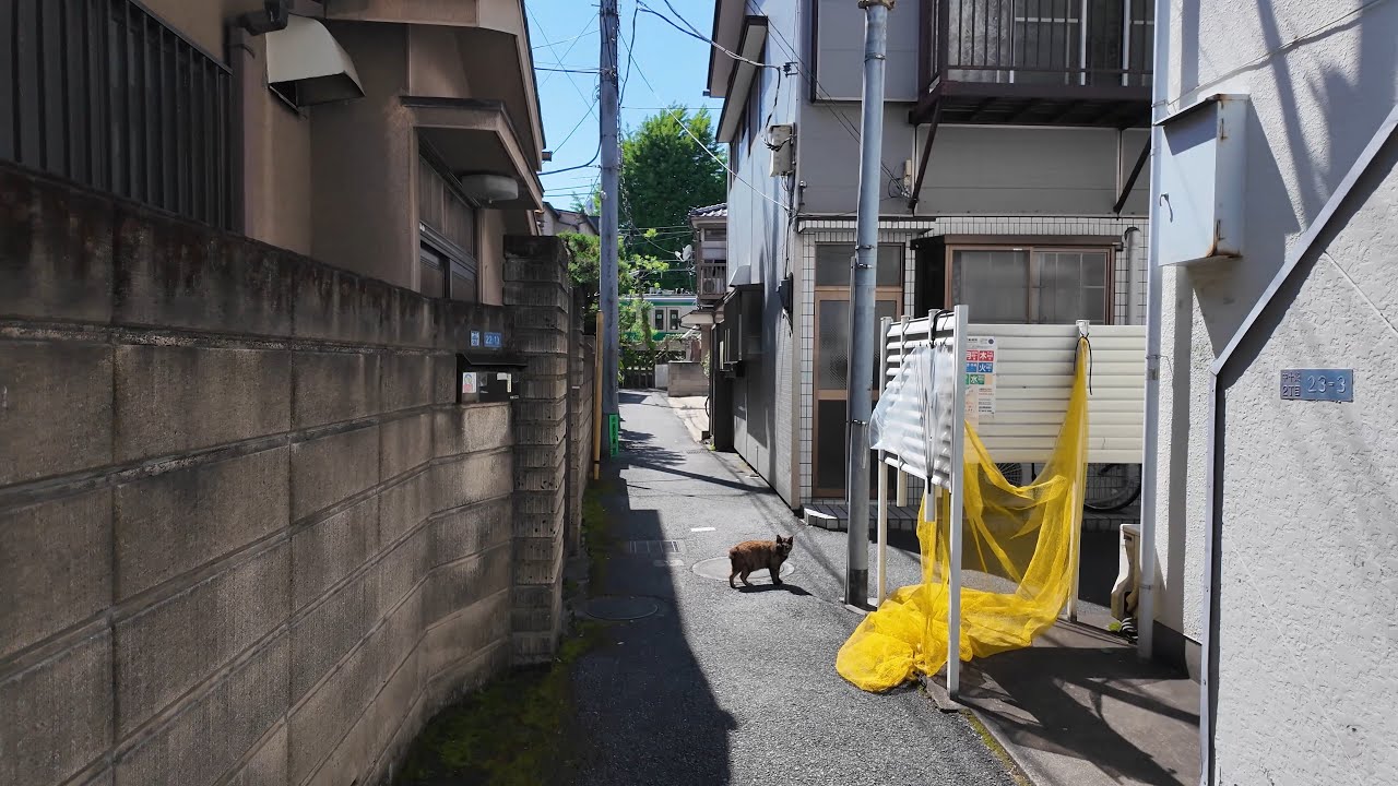 Higashi-Jujo: Old Tokyo Streets with a New Asian Flavor【4K Japan Walk】