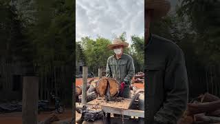 Log splitter machine with a rotating cone rapidly splitting large wood logs