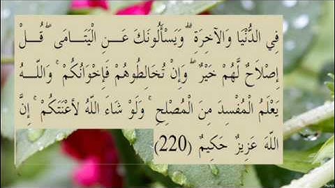 القران الكريم سورة البقرة الاية  220