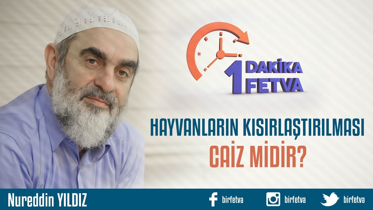 Kedi Kısırlaştırma Caiz Mi