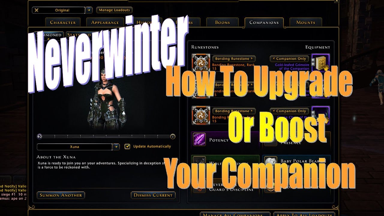 Neverwinter How Or Ways To {Upgrade, Boost And Level Up Your Companion}