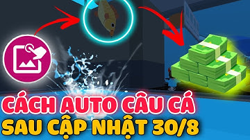 Cách Auto Câu Cá Play Together Mới Nhất Sau Cập Nhật Bản 30/8 | Ali TV