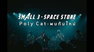 Poly Cat - พบกันใหม่ [ re-arrange ] [2018]